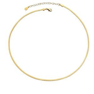 Snake bone necklace woman simple cold